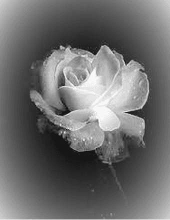 Steven Wayne Petrick Sr. Obituary